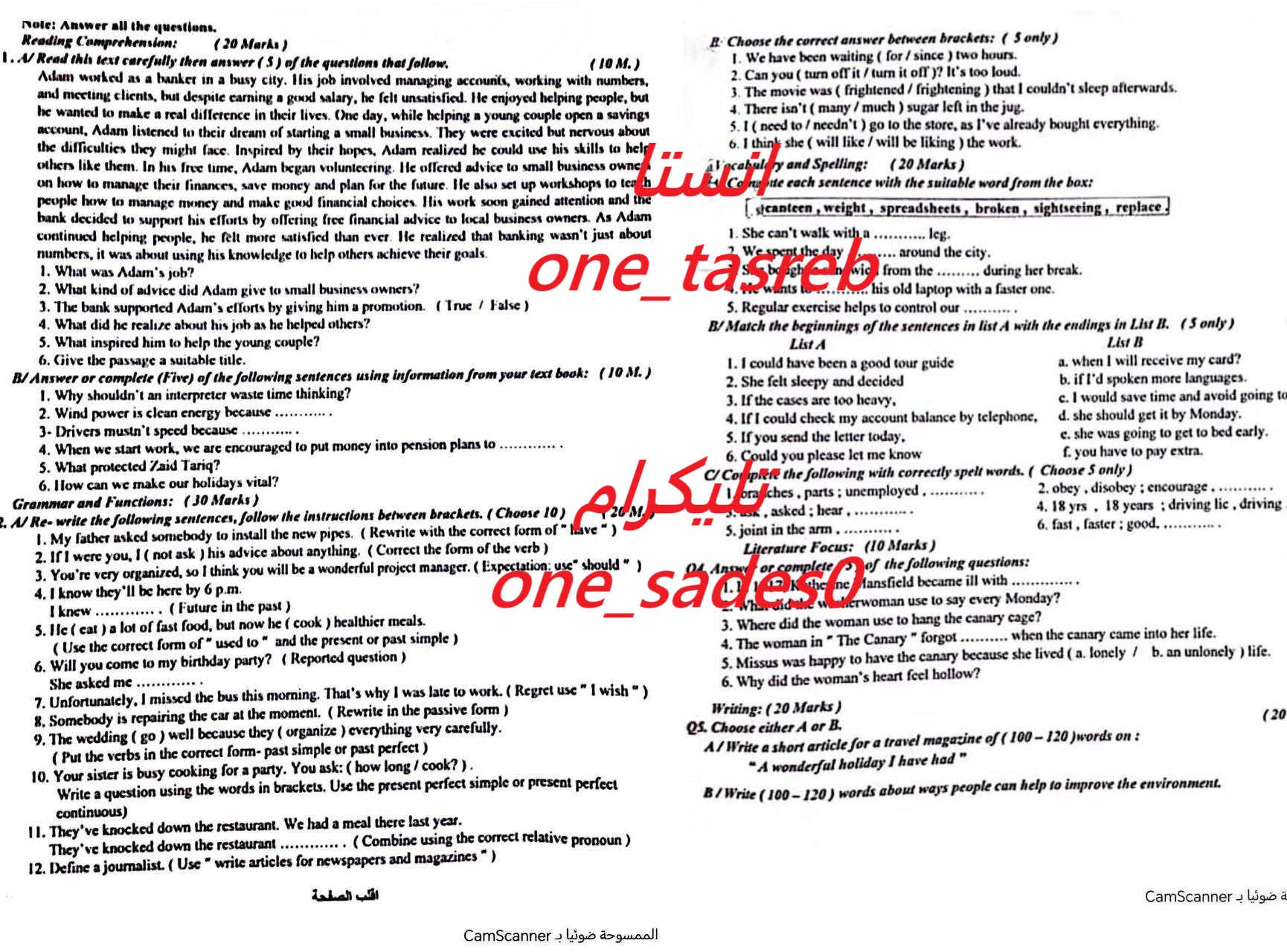 صورة النسخة