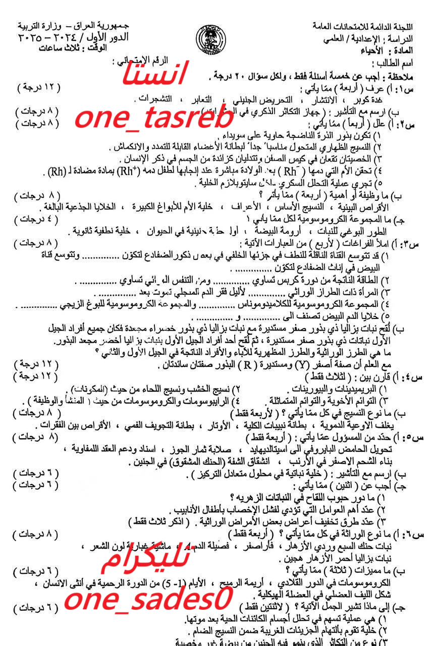 صورة النسخة